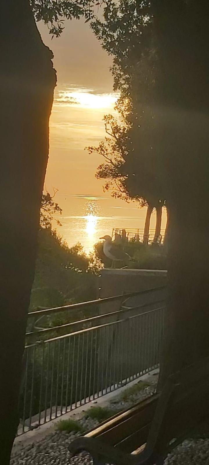 Affittacamere Villa Zelinda Sirolo Kültér fotó