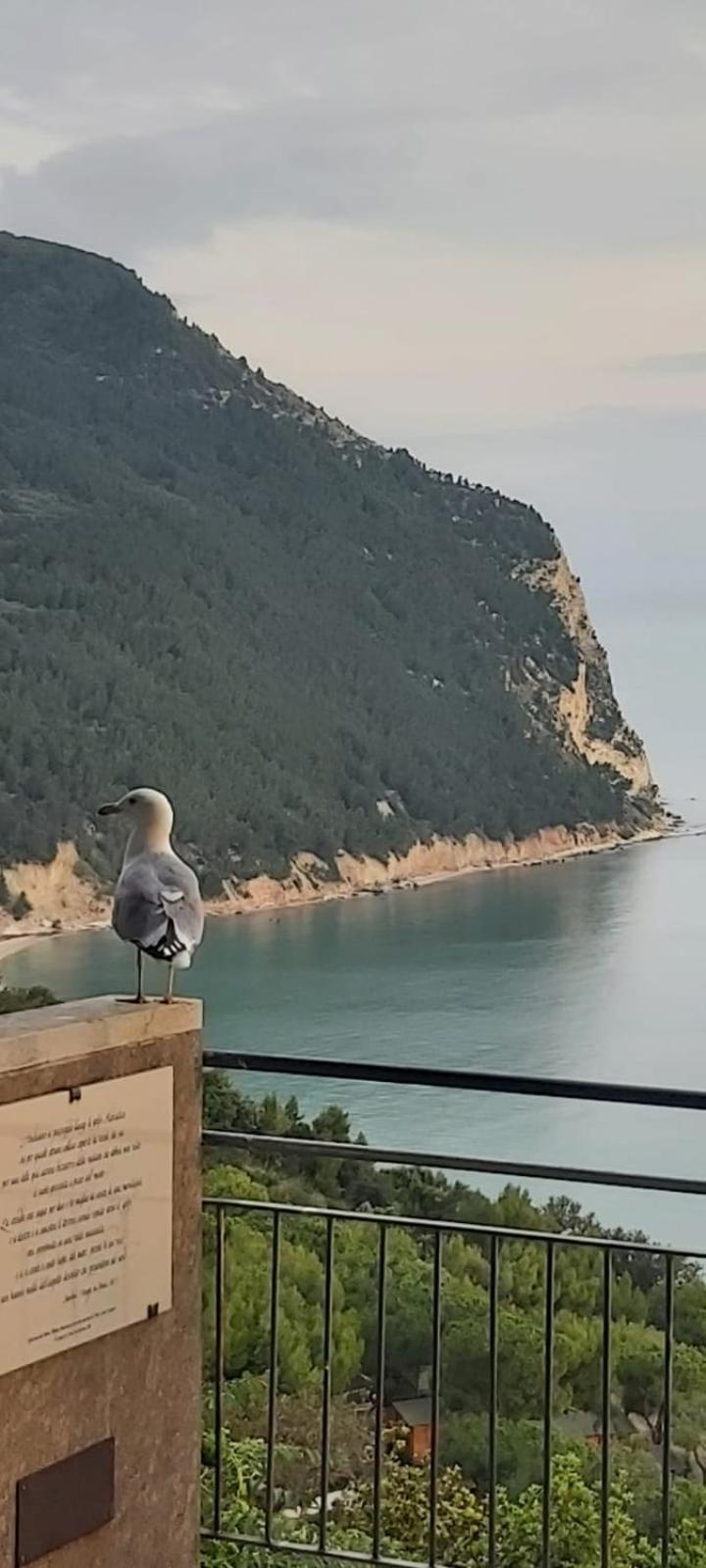 Affittacamere Villa Zelinda Sirolo Kültér fotó